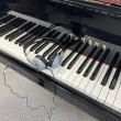 2001 Yamaha C2 grand with SILENT feature - Grand Pianos